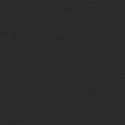 Tiger Tune Wc-borstelhouder Hangend Zwart -Pro Badkamer Verkoop 123 3622