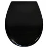 Tiger WC Bril Amadora Zwart Kunststof Met Softclose
