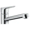 Hansgrohe Keukenkraan Focus M43 Met Hendel Chroom 100