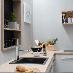 Hansgrohe Keukenkraan Focus M43 Met Hendel RVS 120 -Pro Badkamer Verkoop 123 5152