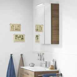 TIGER S-line Spiegelkast 60cm Chalet Eiken 12 TIGER S-line Spiegelkast 60cm Chalet Eiken -Pro Badkamer Verkoop 123 587